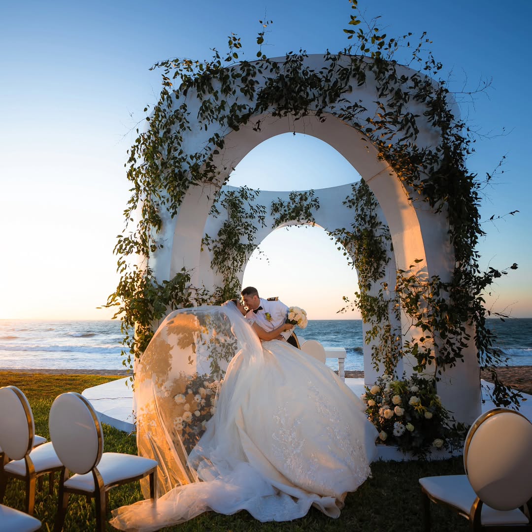 boda8